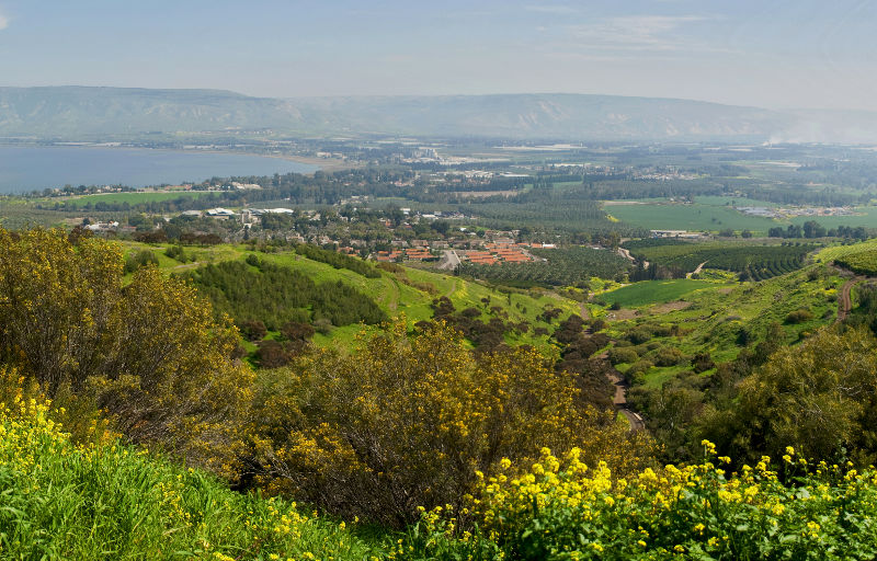 Golan Heights